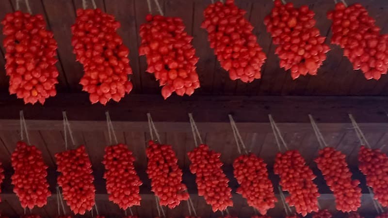 Immagine di Azienda agricola Terre del Vesuvio a Napoli, Campania