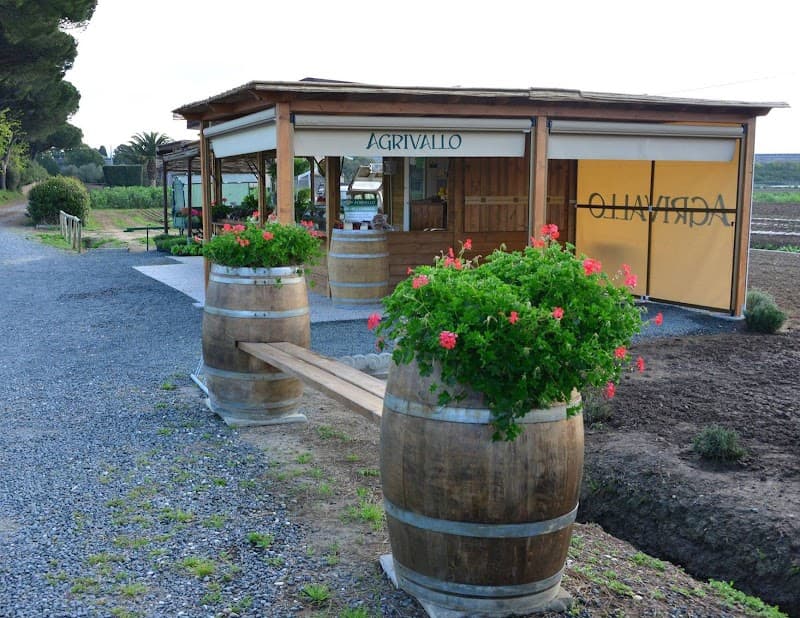 Immagine di Azienda Agricola Agrivallo a Bibbona, Toscana