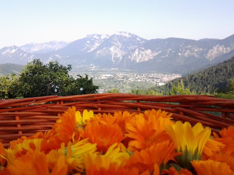 Immagine di Il Leprotto Bisestile | Azienda agricola e Fattoria didattica a Bosentino, Trentino-Alto Adige
