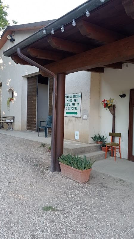 Immagine di Azienda Agricola Mincioni Vendita Frutta e Verdura a Perugia, Umbria