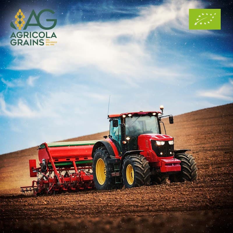 Immagine di Agricola Grains S.P.A. a Arre, Veneto