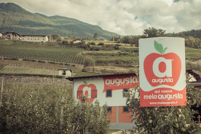 Immagine di Melaugusta - Azienda Agricola Bisson - Raccolta Diretta Mele a Aosta, Valle d'Aosta
