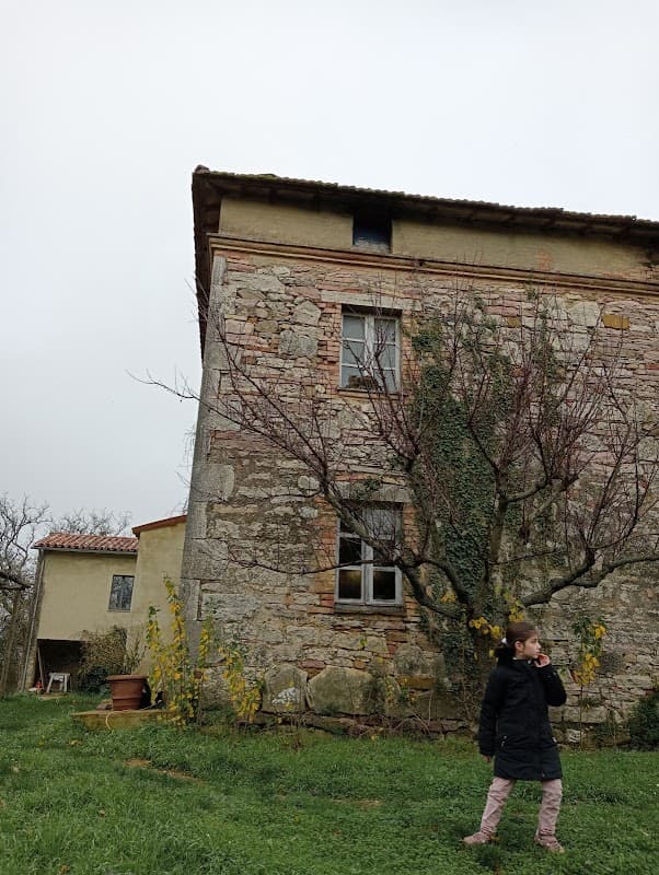 Immagine di Fattoria Ma' Falda Società Agricola a Terni, Umbria