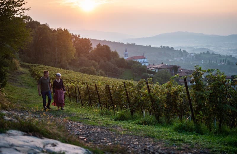 Immagine di Azienda Agricola Tosca a Pontida, Lombardia