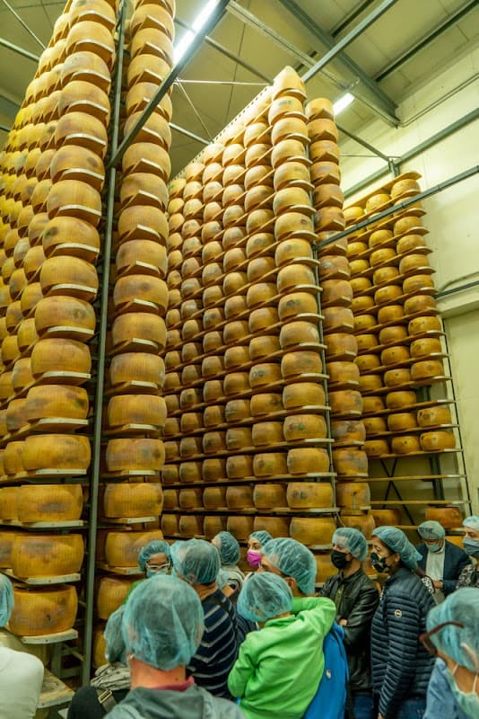 Immagine di Caseificio Bio Reggiani a Castelfranco Emilia, Emilia-Romagna