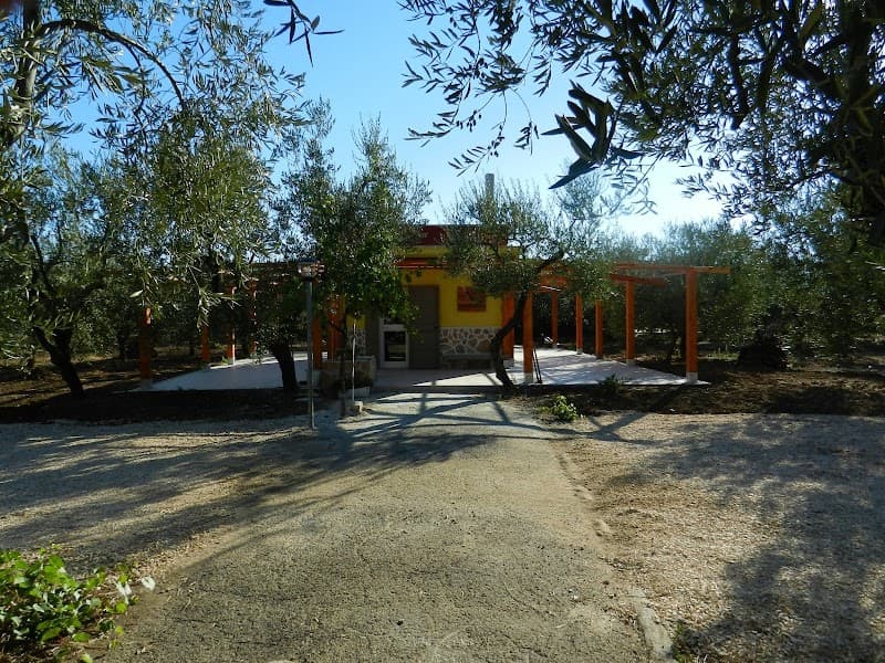 Immagine di Azienda agricola Mazzone a Ruvo di Puglia, Puglia