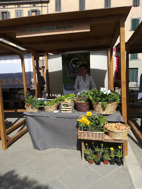 Immagine di Azienda Agricola Bio Podere Saragiolo a Torrita di Siena, Toscana