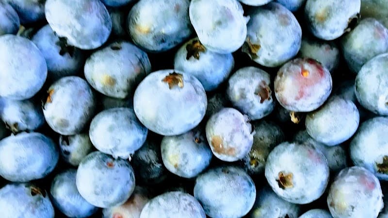 Immagine di Azienda agricola biologica Monti e Cielo a Castel Ivano, Trentino-Alto Adige