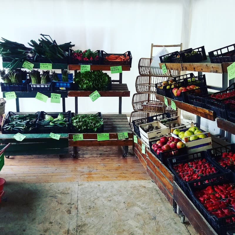 Immagine di Azienda Agricola Rizzati - Galazzi a Ferrara, Emilia-Romagna