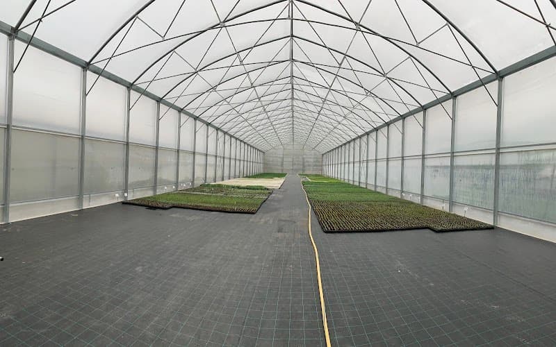 Immagine di Azienda agricola Zignol a Bigolo, Veneto