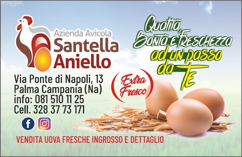 Immagine di Azienda Avicola Santella Aniello a Palma Campania, Campania
