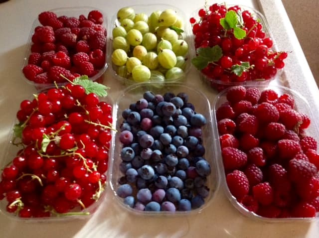 Immagine di Il Trullino Azienda Agricola Biologica a Taranto, Puglia