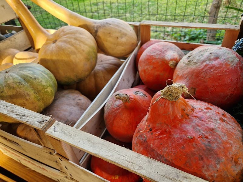 Immagine di azienda agricola Tomato de Ma' a Genova, Liguria