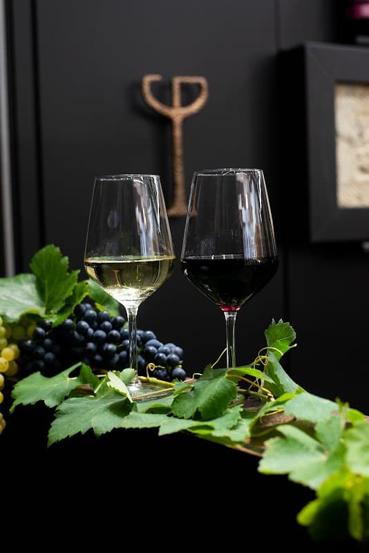 Immagine di Società Agricola Tenuta Le Quinte S.R.L. a Colonna, Lazio