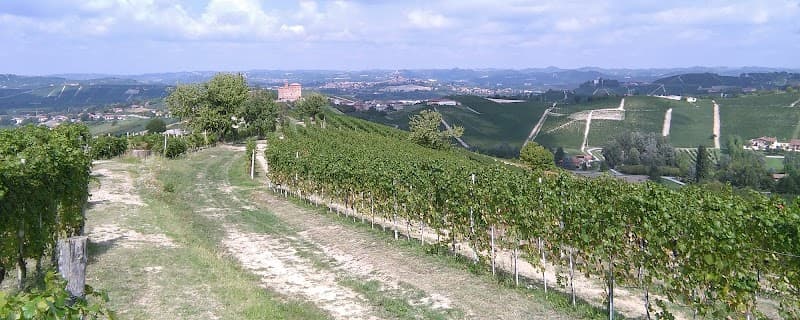 Immagine di Az. Agr. Biologica Bolla Lorenzo - Vini biologici - Nocciole bio a Valle Talloria, Piemonte