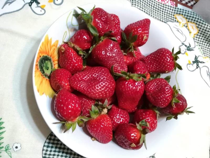 Immagine di Le Fragole di Paolo IV - vendita diretta ortofrutta a Is Cordeddas, Sardegna