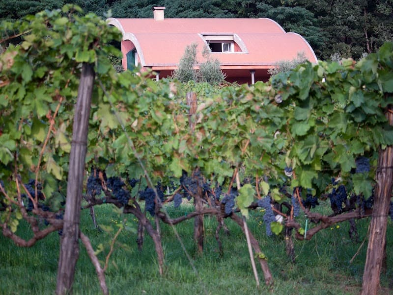 Immagine di Terre del Gufo - Impresa Agricola Muzzillo a Cosenza, Calabria