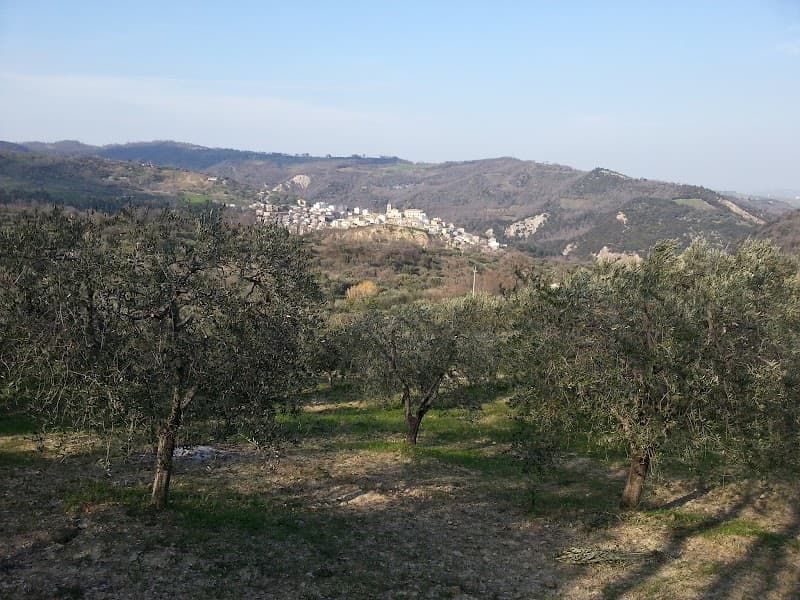 Immagine di Azienda Agricola Spinelli a Policoro, Basilicata