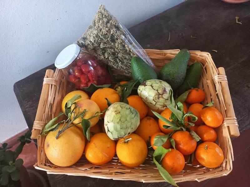 Immagine di Azienda Agricola Biologica Jalari a Barcellona Pozzo di Gotto, Sicilia