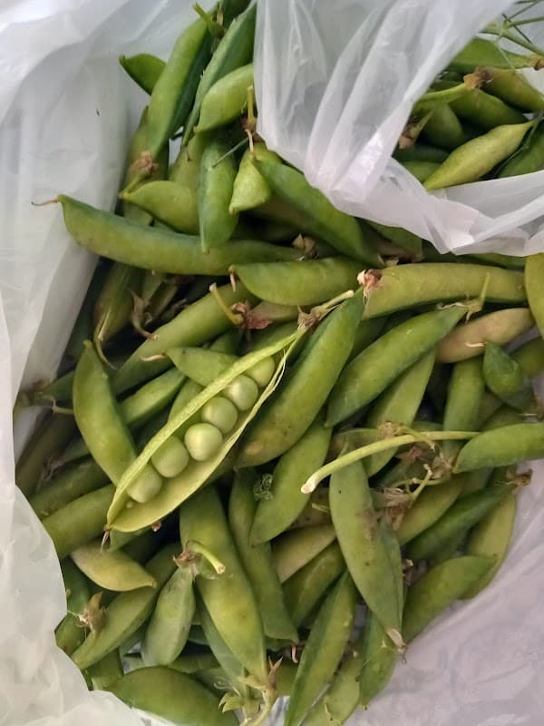 Immagine di Azienda agricola Mora dei boschi a Villarbasse, Piemonte