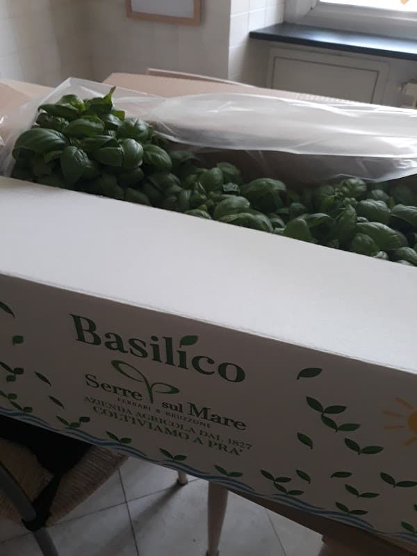 Immagine di Azienda Agricola Serre sul Mare a Genova, Liguria