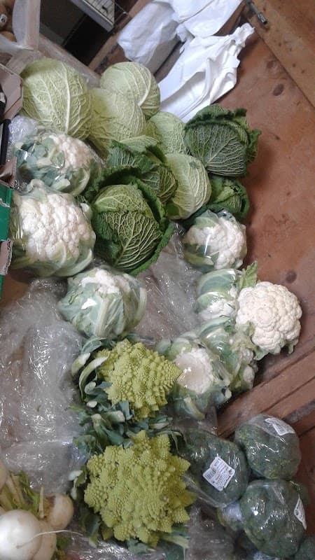 Produzione e vendita frutta e verdura Km0 di Pirovano Edoardo