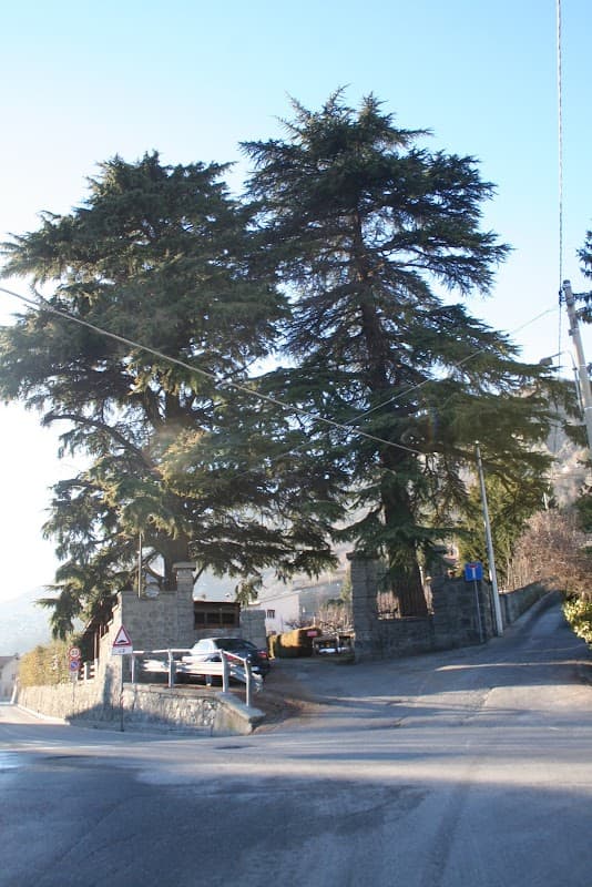 Immagine di Les Petits Riens a Aosta, Valle d'Aosta