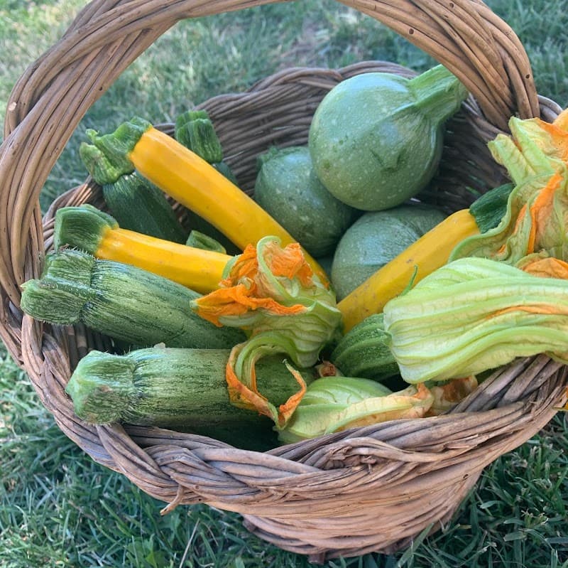 Immagine di Azienda agricola Bartolomei a Trevi, Umbria