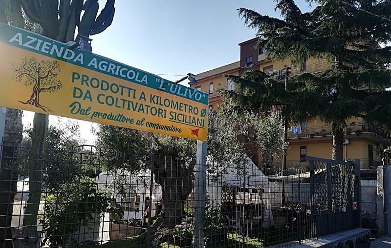 Immagine di Azienda agricola l'Ulivo - dal produttore al consumatore a Catania, Sicilia