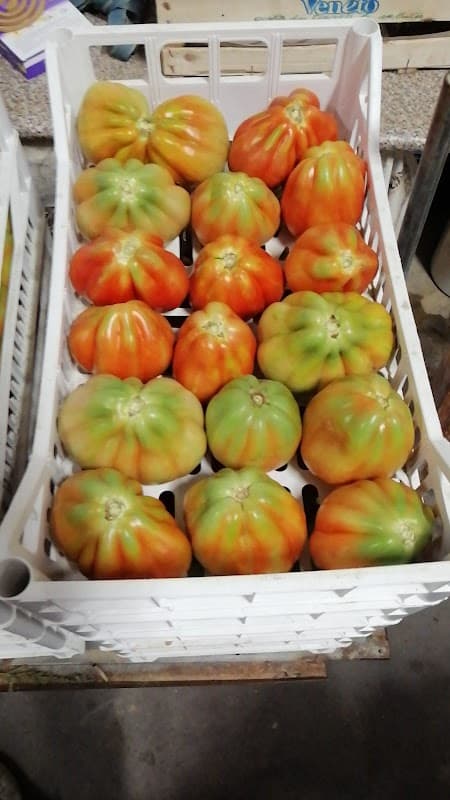 Immagine di Azienda Agricola Busatto di Busatto Emanuele - Azienda Agricola a Tessarotti, Veneto