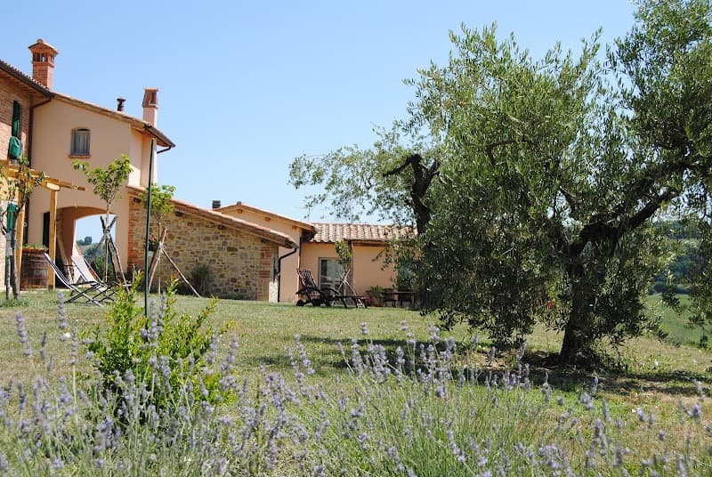 Immagine di Agriturismo Sorelle Biologiche a Viale, Umbria