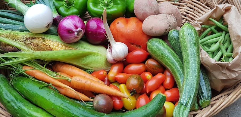 Immagine di Terra di Ciona di Nadia Zorzin - Agricoltura Biologica a Villa Vicentina, Friuli-Venezia Giulia