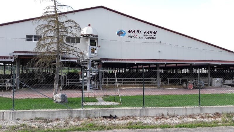 Immagine di Ma.Bi. Farm Di Bitorsoli Francesco a Grumento Nova, Basilicata