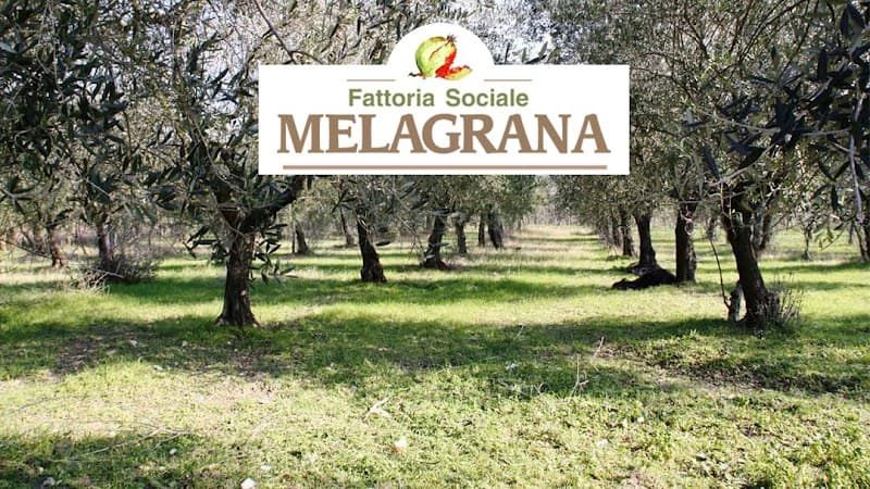 Immagine di Fattoria Sociale Melagrana a Dugenta, Campania
