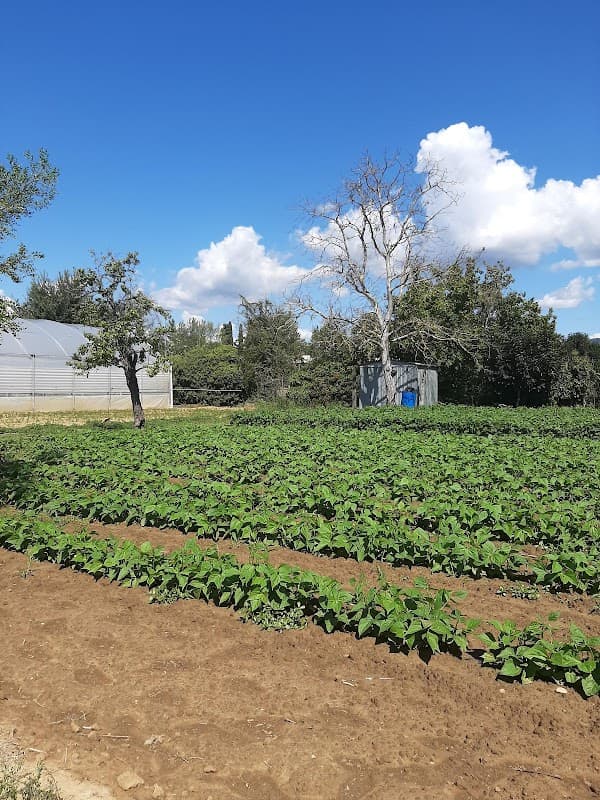 Immagine di Il Mulino Società Agricola a Bagno a Ripoli, Toscana