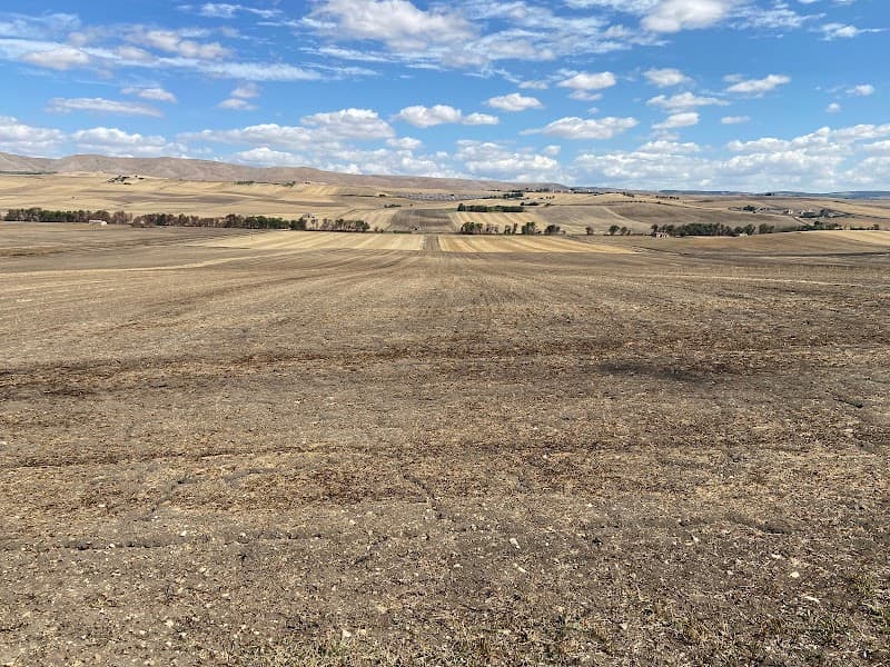 Immagine di AGRIS Società Agricola Semplice a Gravina in Puglia, Puglia