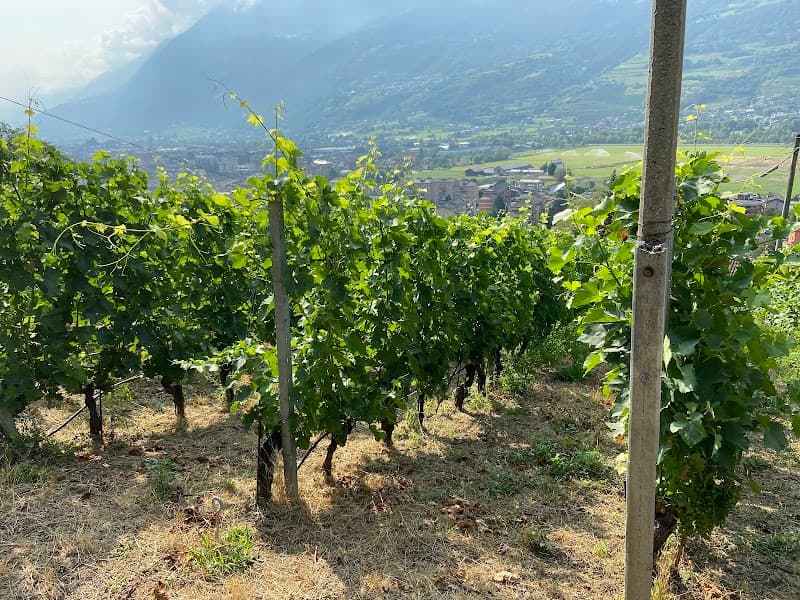 Immagine di Maison Agricole D & D a Aosta, Valle d'Aosta