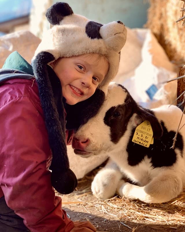 Immagine di Fattoria Didattica Maso Simoni a Trento, Trentino-Alto Adige