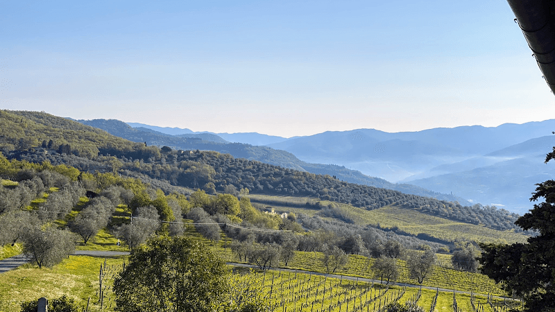 Immagine di Fattoria Lavacchio BIO Winery a Pontassieve, Toscana