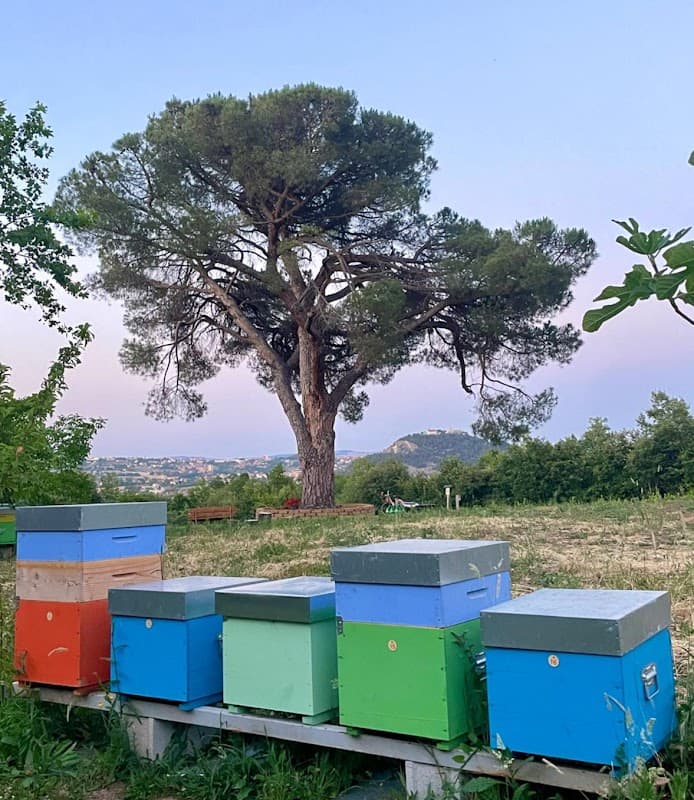 Immagine di Azienda Agricola Colle RoSa a Campobasso, Molise
