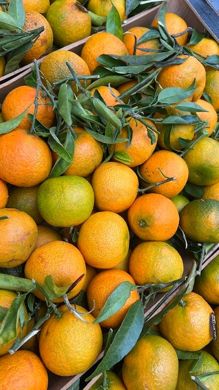 Immagine di AT Frutta a Vittorio Veneto, Veneto