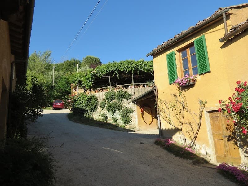 Immagine di Azienda Agricola Riparbello a Certaldo, Toscana