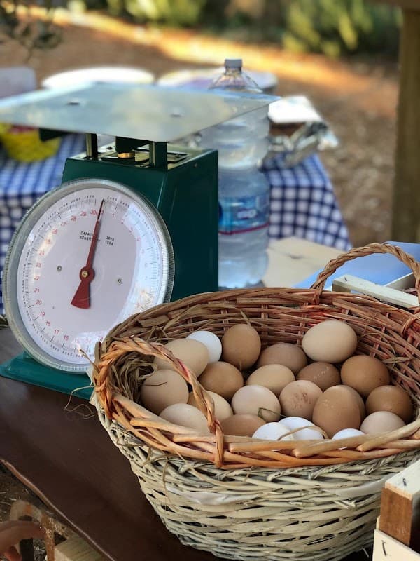 Immagine di Apulia Farm a Manduria, Puglia