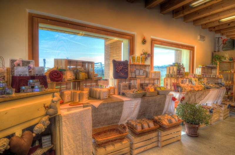 Immagine di Azienda Agricola Biologica Loner Carlo a Udine, Friuli-Venezia Giulia