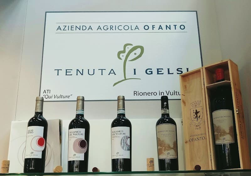 Immagine di TENUTA I GELSI- Azienda agricola Ofanto a Monticchio Bagni, Basilicata