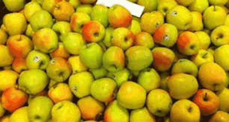 Ortofrutticola Perugia