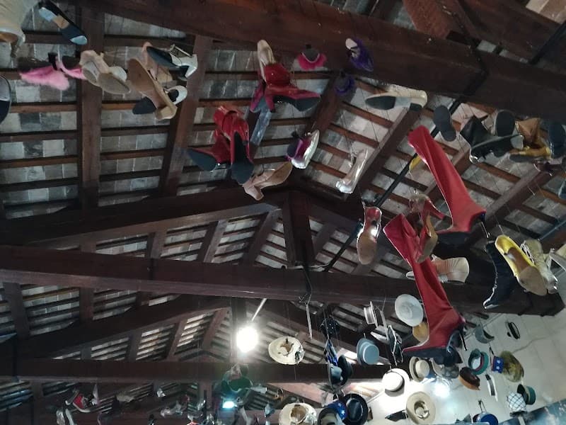 Immagine di TERRA E VITA SOCIETA' AGRICOLA SEMPLICE DI CHIURCHIU' SIMONA & C. a Tolentino, Marche