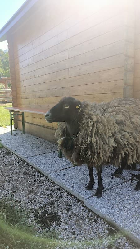 Immagine di MASO CANOVA a Trento, Trentino-Alto Adige
