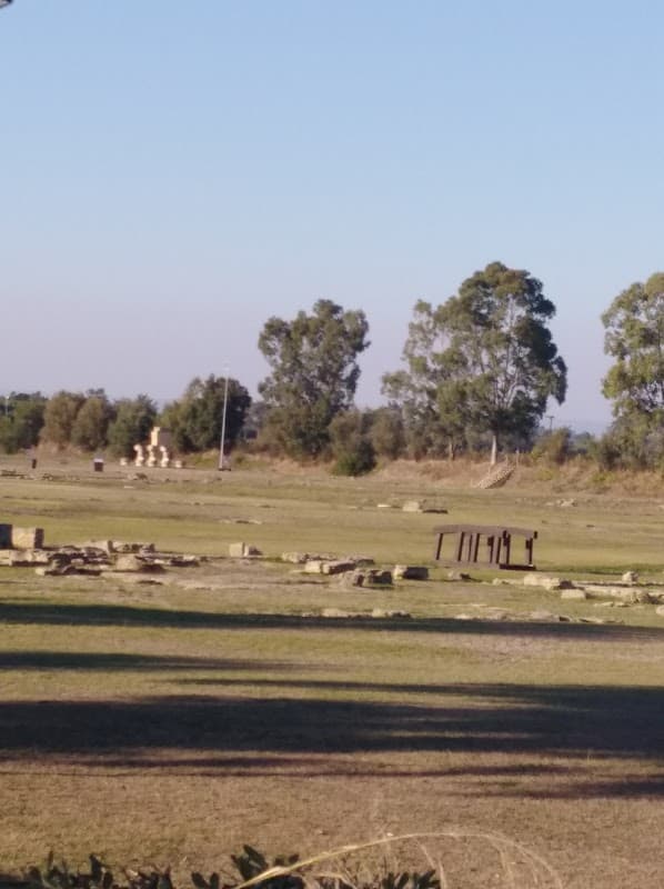 Immagine di O.P. Agorà Soc. Coop. Agricola a Metaponto, Basilicata