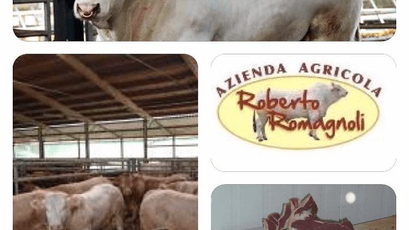 Immagine di Azienda agricola Roberto Romagnoli a Lastra a Signa, Toscana